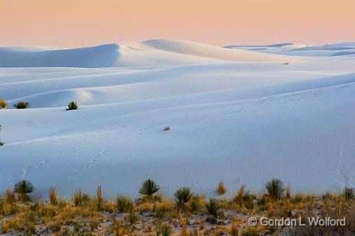 White Sands_32153.jpg - Photographed at the White Sands National Monument near Alamogordo, New Mexico, USA.